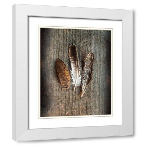 Feather Collection II White Modern Wood Framed Art Print with Double Matting by Schlabach, Sue