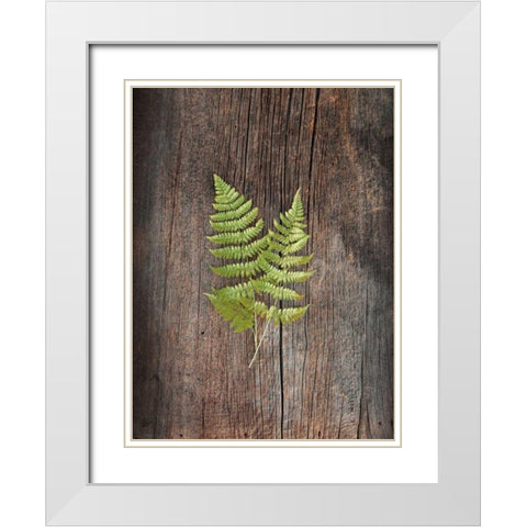 Woodland Fern II White Modern Wood Framed Art Print with Double Matting by Schlabach, Sue