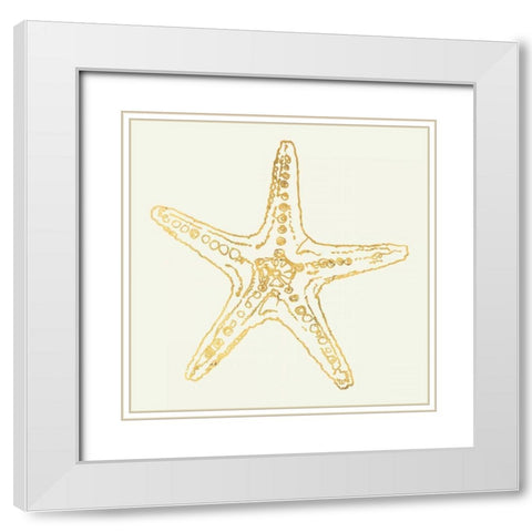 Coastal Breeze Shell Sketches White Modern Wood Framed Art Print with Double Matting by Tavoletti, Anne