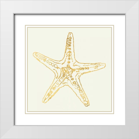 Coastal Breeze Shell Sketches White Modern Wood Framed Art Print with Double Matting by Tavoletti, Anne