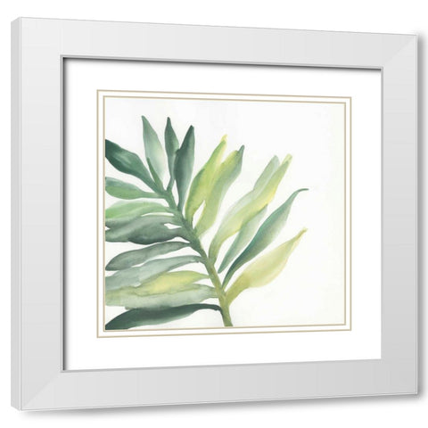 Tropical Palm III White Modern Wood Framed Art Print with Double Matting by Paschke, Chris