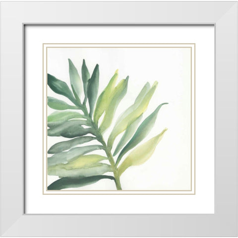 Tropical Palm III White Modern Wood Framed Art Print with Double Matting by Paschke, Chris