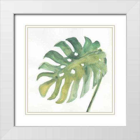 Tropical Palm IV White Modern Wood Framed Art Print with Double Matting by Paschke, Chris