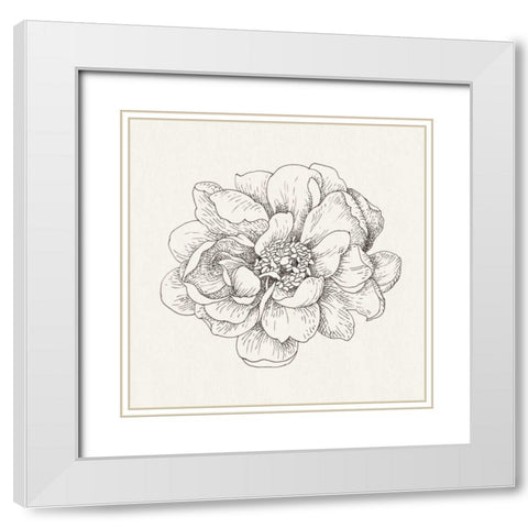 Pen and Ink Florals IV White Modern Wood Framed Art Print with Double Matting by Nai, Danhui