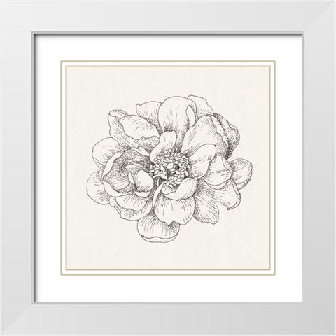 Pen and Ink Florals IV White Modern Wood Framed Art Print with Double Matting by Nai, Danhui