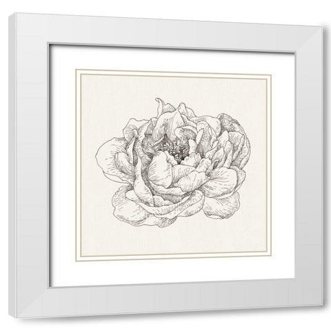 Pen and Ink Florals V White Modern Wood Framed Art Print with Double Matting by Nai, Danhui