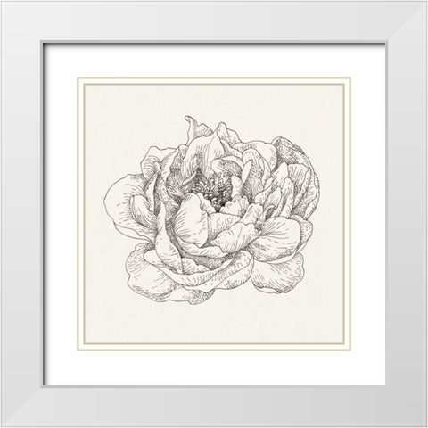 Pen and Ink Florals V White Modern Wood Framed Art Print with Double Matting by Nai, Danhui
