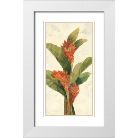 Ginger Blossom on White White Modern Wood Framed Art Print with Double Matting by Hristova, Albena