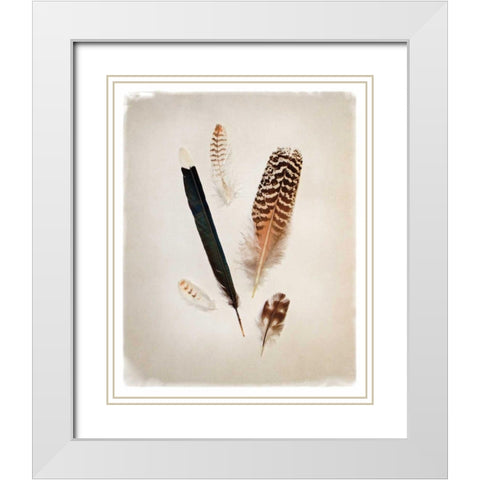 Feather Group II White Modern Wood Framed Art Print with Double Matting by Van Swearingen, Debra