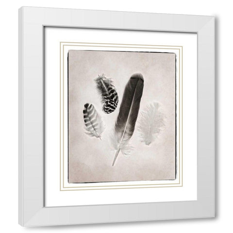 Feather Group I BW White Modern Wood Framed Art Print with Double Matting by Van Swearingen, Debra