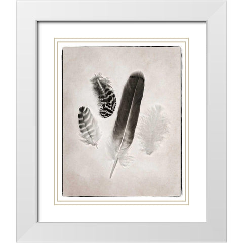 Feather Group I BW White Modern Wood Framed Art Print with Double Matting by Van Swearingen, Debra