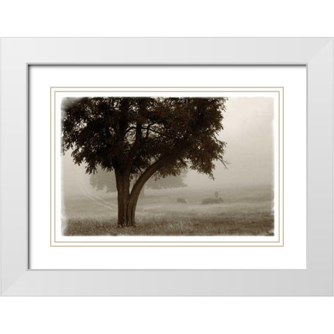 Calm Mist no Limb White Modern Wood Framed Art Print with Double Matting by Van Swearingen, Debra