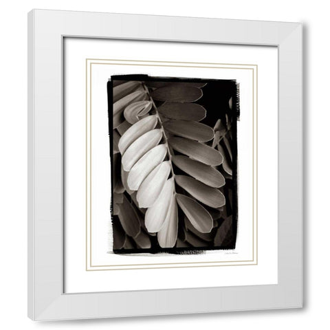 Tropical Plant I White Modern Wood Framed Art Print with Double Matting by Debra, Van Swearingen