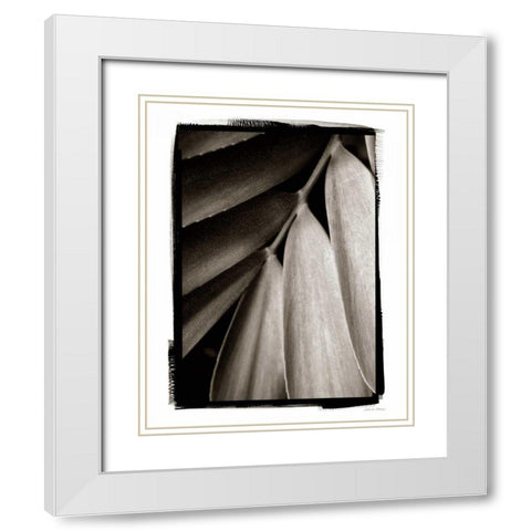Tropical Plant II White Modern Wood Framed Art Print with Double Matting by Debra, Van Swearingen