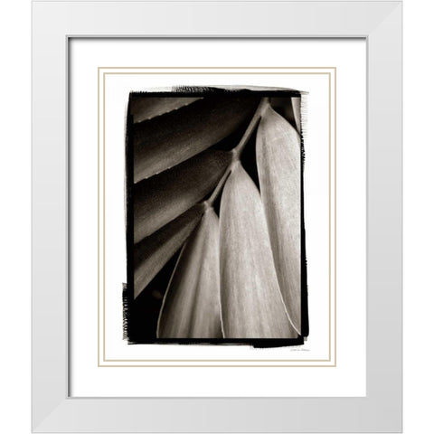 Tropical Plant II White Modern Wood Framed Art Print with Double Matting by Debra, Van Swearingen