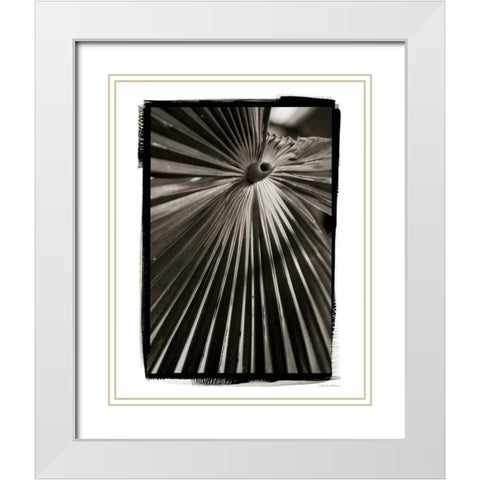 Palm Frond I White Modern Wood Framed Art Print with Double Matting by Debra, Van Swearingen