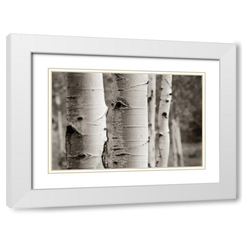 Aspens III White Modern Wood Framed Art Print with Double Matting by Van Swearingen, Debra