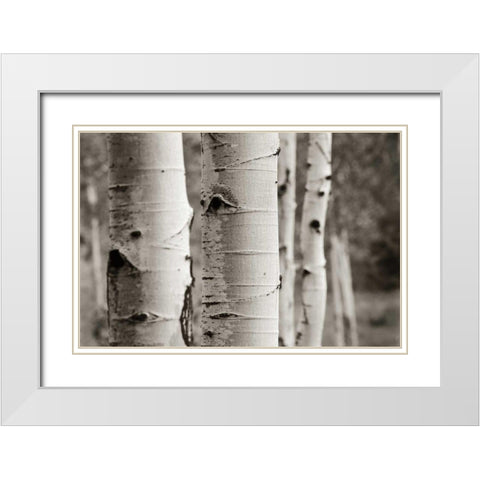Aspens III White Modern Wood Framed Art Print with Double Matting by Van Swearingen, Debra