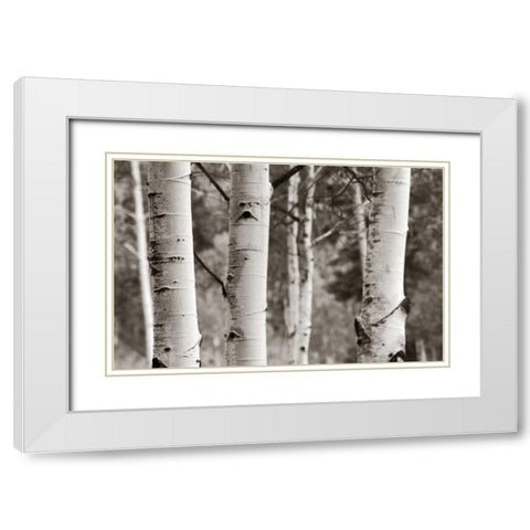 Aspens  IV White Modern Wood Framed Art Print with Double Matting by Van Swearingen, Debra