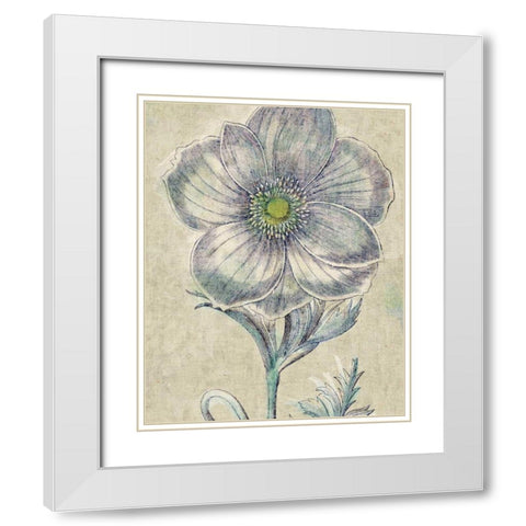 Belle Fleur II Crop Linen White Modern Wood Framed Art Print with Double Matting by Schlabach, Sue