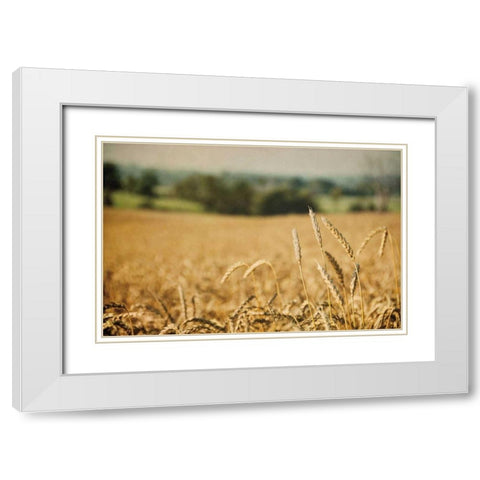 Blissful Country I White Modern Wood Framed Art Print with Double Matting by Urquhart, Elizabeth