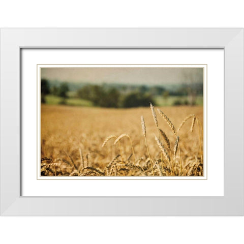 Blissful Country I White Modern Wood Framed Art Print with Double Matting by Urquhart, Elizabeth