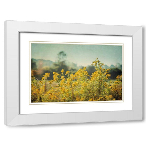 Blissful Country IV White Modern Wood Framed Art Print with Double Matting by Urquhart, Elizabeth