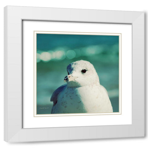 Mint Cottage Days IV Crop White Modern Wood Framed Art Print with Double Matting by Urquhart, Elizabeth
