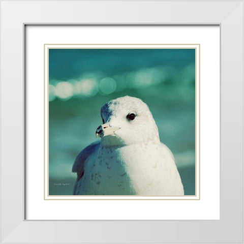 Mint Cottage Days IV Crop White Modern Wood Framed Art Print with Double Matting by Urquhart, Elizabeth