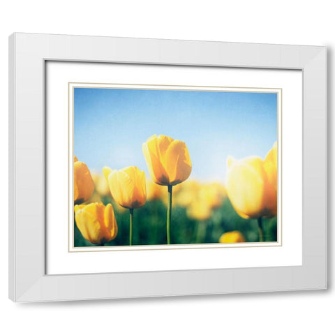 Sunny Blooms III White Modern Wood Framed Art Print with Double Matting by Urquhart, Elizabeth