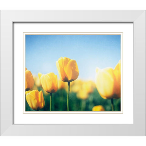Sunny Blooms III White Modern Wood Framed Art Print with Double Matting by Urquhart, Elizabeth