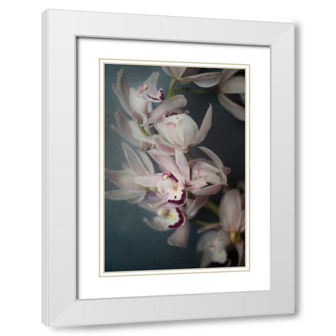 Dark Orchid I White Modern Wood Framed Art Print with Double Matting by Urquhart, Elizabeth