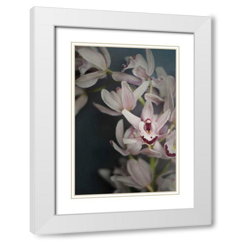 Dark Orchid II White Modern Wood Framed Art Print with Double Matting by Urquhart, Elizabeth