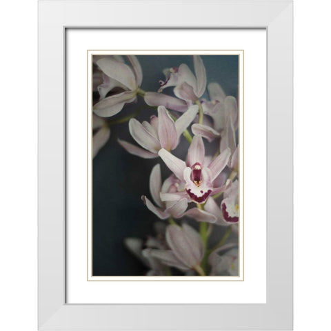 Dark Orchid II White Modern Wood Framed Art Print with Double Matting by Urquhart, Elizabeth