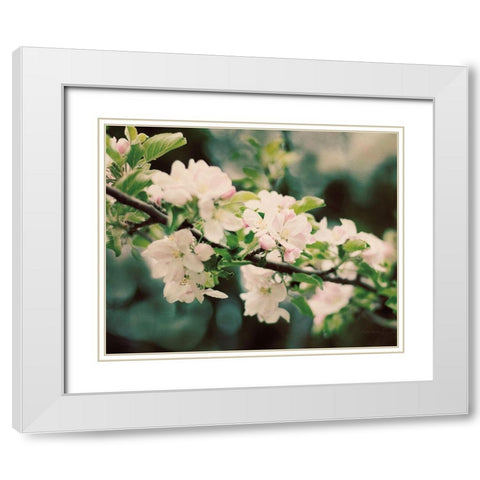 Apple Blossoms I White Modern Wood Framed Art Print with Double Matting by Urquhart, Elizabeth