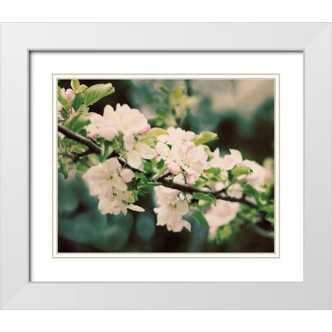 Apple Blossoms I White Modern Wood Framed Art Print with Double Matting by Urquhart, Elizabeth