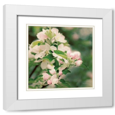 Apple Blossoms II Crop White Modern Wood Framed Art Print with Double Matting by Urquhart, Elizabeth