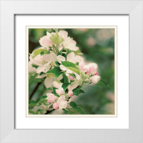 Apple Blossoms II Crop White Modern Wood Framed Art Print with Double Matting by Urquhart, Elizabeth