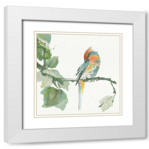Crested Cockatoo White Modern Wood Framed Art Print with Double Matting by Paschke, Chris