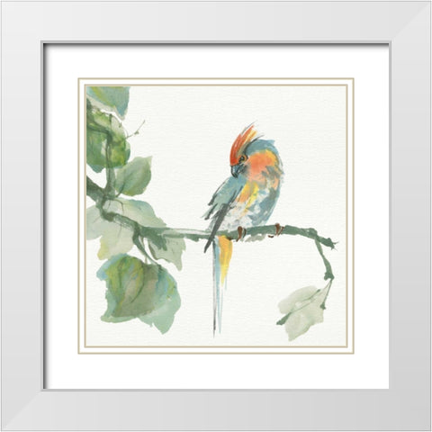 Crested Cockatoo White Modern Wood Framed Art Print with Double Matting by Paschke, Chris