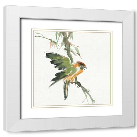 Formosan Firecrest White Modern Wood Framed Art Print with Double Matting by Paschke, Chris