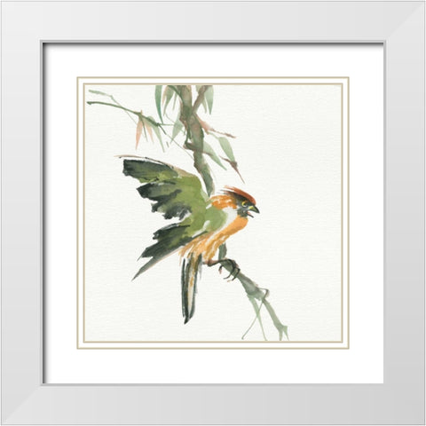 Formosan Firecrest White Modern Wood Framed Art Print with Double Matting by Paschke, Chris