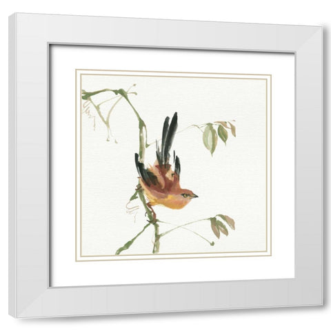 Mountain Bush Warbler White Modern Wood Framed Art Print with Double Matting by Paschke, Chris