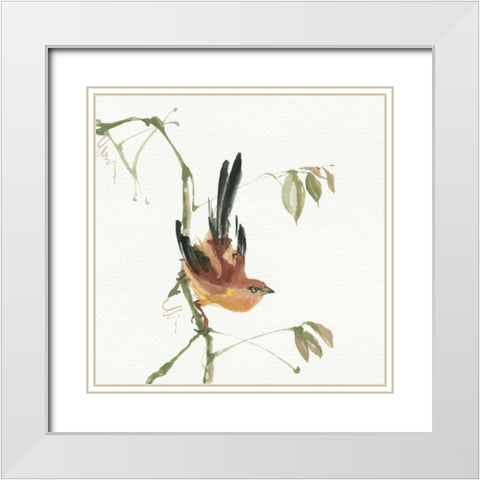 Mountain Bush Warbler White Modern Wood Framed Art Print with Double Matting by Paschke, Chris