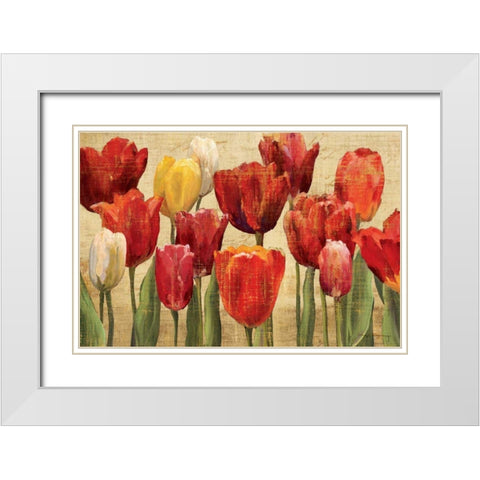 Tulip Fantasy on Cream White Modern Wood Framed Art Print with Double Matting by Hageman, Marilyn