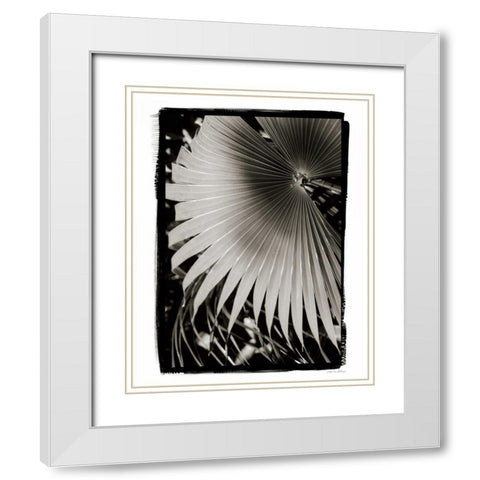 Palm Frond II v2 White Modern Wood Framed Art Print with Double Matting by Debra, Van Swearingen