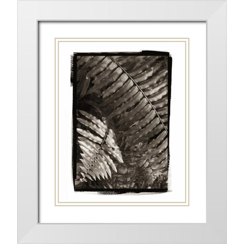 Fern I v2 White Modern Wood Framed Art Print with Double Matting by Van Swearingen, Debra
