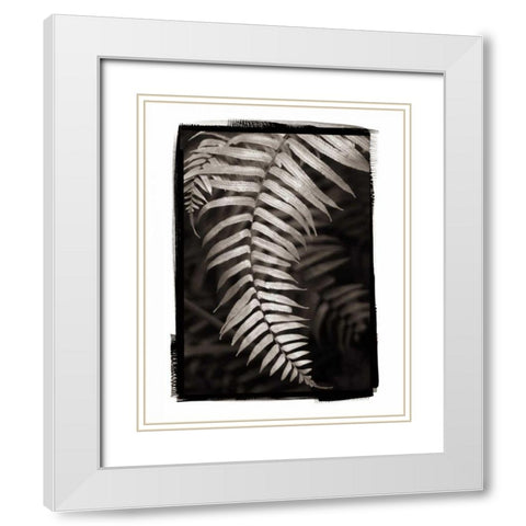 Fern II v2 White Modern Wood Framed Art Print with Double Matting by Van Swearingen, Debra