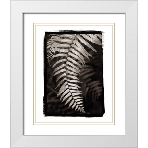 Fern II v2 White Modern Wood Framed Art Print with Double Matting by Van Swearingen, Debra