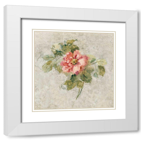 Provence Rose II Red and Neutral White Modern Wood Framed Art Print with Double Matting by Blum, Cheri